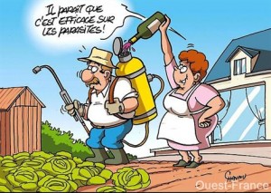 Vin et pesticide, Ouest France SIGE